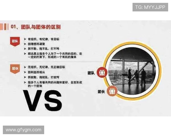 独家分析：JDG的团队协作对比